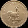 Krugerrand goud 1/2 troy ounce